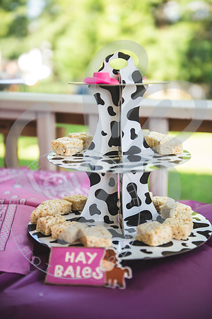 Arabella - 2 year bday_072824_0045