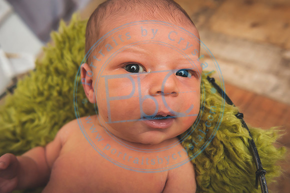 Cedar - Newborn_120119_0218