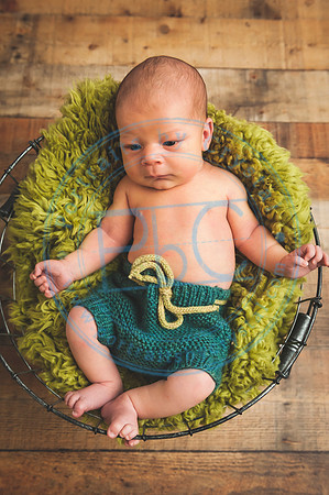 Cedar - Newborn_120119_0219
