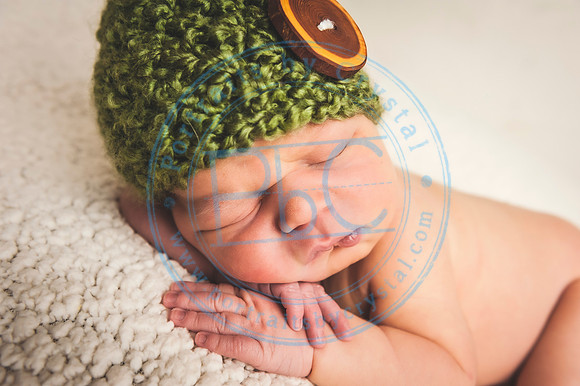 Cedar - Newborn_120119_0251