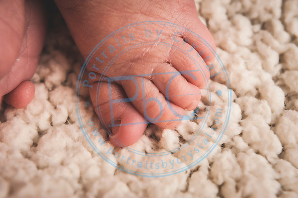 Cedar - Newborn_120119_0266