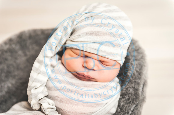 Cedar - Newborn_120119_0276