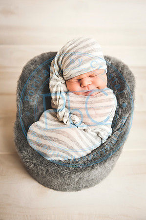 Cedar - Newborn_120119_0280