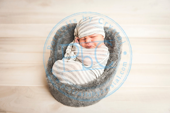 Cedar - Newborn_120119_0295