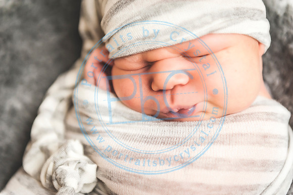 Cedar - Newborn_120119_0297