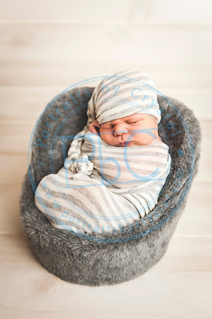 Cedar - Newborn_120119_0301