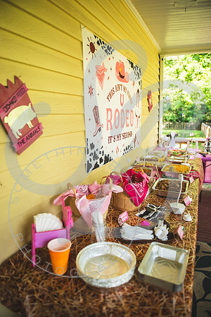 Arabella - 2 year bday_072824_0037