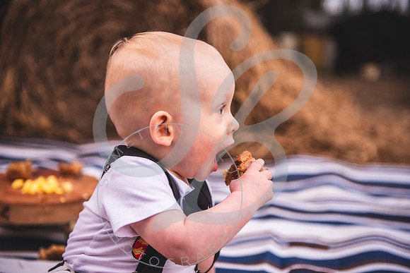 Maddox - 1 year_030524_0387