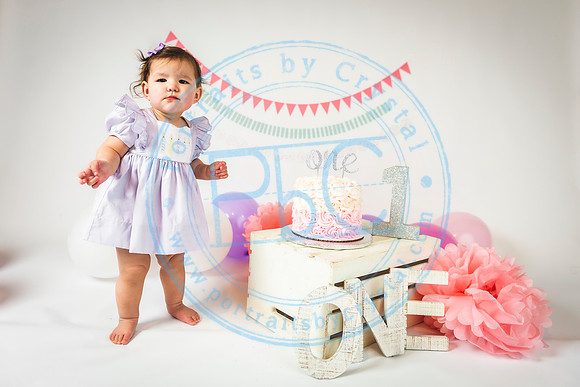 Ella - Cake Smash_011820_0068