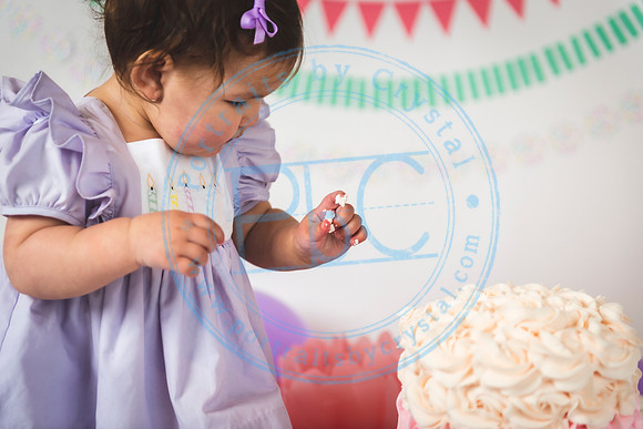 Ella - Cake Smash_011820_0089