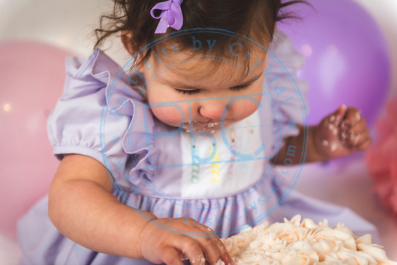 Ella - Cake Smash_011820_0142