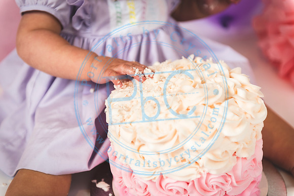 Ella - Cake Smash_011820_0146