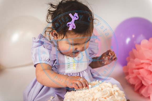Ella - Cake Smash_011820_0167