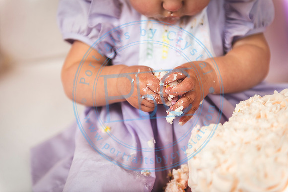 Ella - Cake Smash_011820_0179