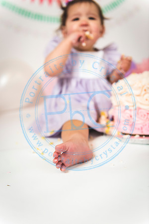 Ella - Cake Smash_011820_0189