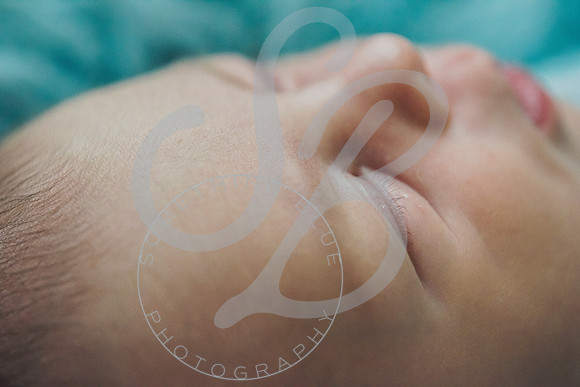 Crue - Newborn_083121_0224