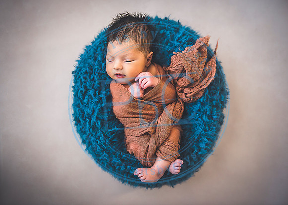 Lucas - Newborn_012220_0240_1
