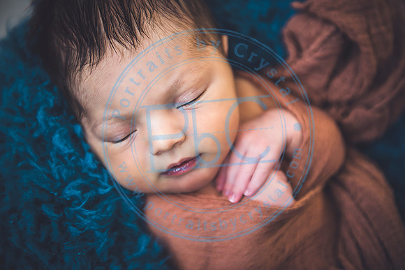 Lucas - Newborn_012220_0248_1