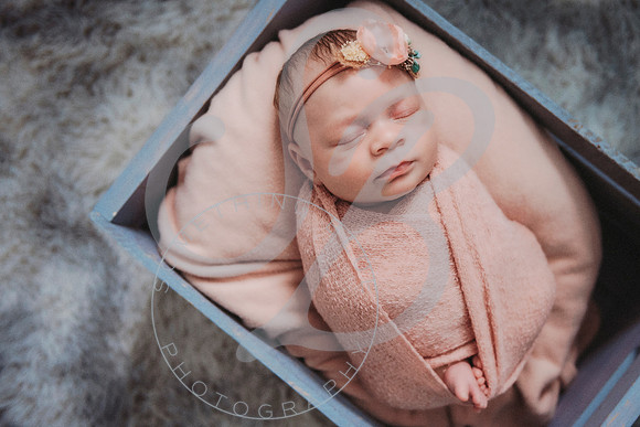 Eliana - Newborn_071522_0026