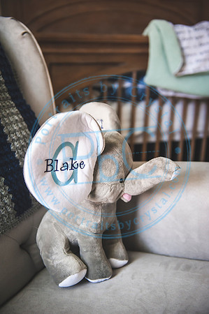 Blake - Newborn.Edits.32