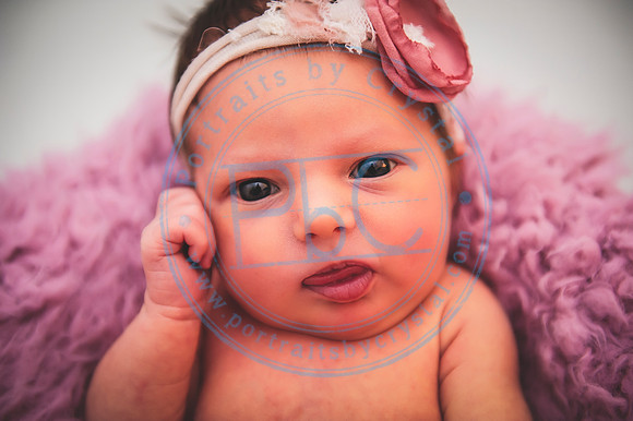 Scarlett - Newborn_030320_0245