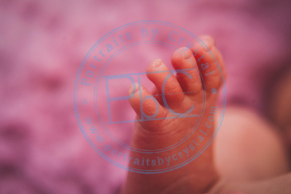 Scarlett - Newborn_030320_0314
