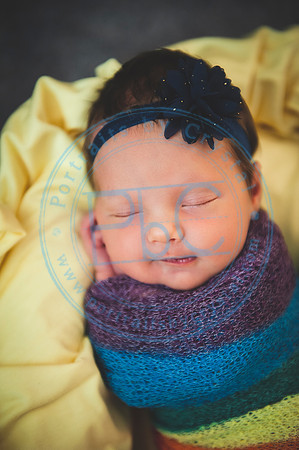 Scarlett - Newborn_030320_0435
