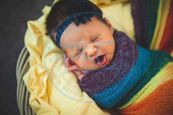 Scarlett - Newborn_030320_0517