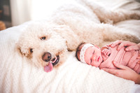 Olivia Jane - Newborn_030620_0165
