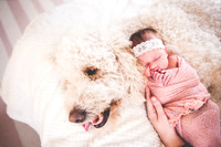 Olivia Jane - Newborn_030620_0172