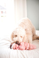 Olivia Jane - Newborn_030620_0183