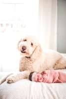 Olivia Jane - Newborn_030620_0200