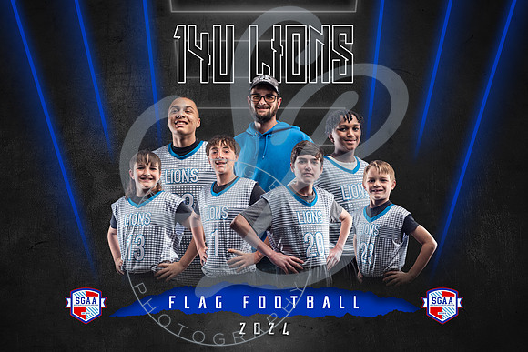 14U Lions