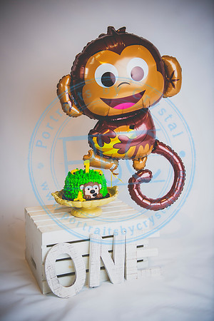 Alex - Smash Cake_031320_0096