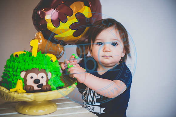 Alex - Smash Cake_031320_0140