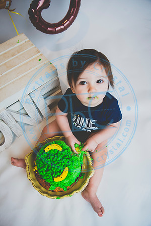 Alex - Smash Cake_031320_0184
