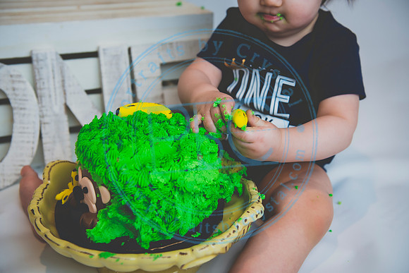 Alex - Smash Cake_031320_0191