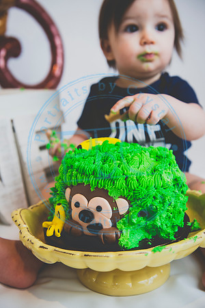 Alex - Smash Cake_031320_0209