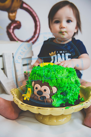 Alex - Smash Cake_031320_0217