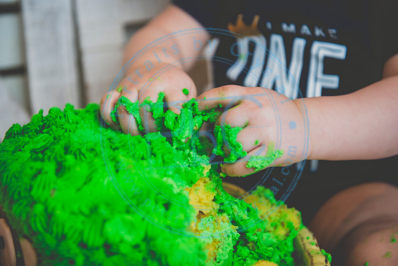 Alex - Smash Cake_031320_0252