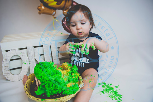 Alex - Smash Cake_031320_0264