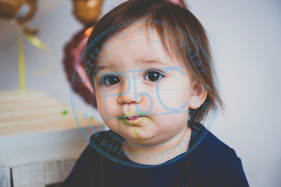 Alex - Smash Cake_031320_0256
