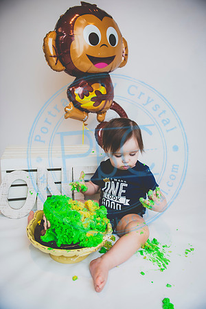 Alex - Smash Cake_031320_0275