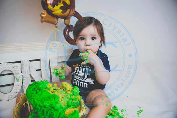 Alex - Smash Cake_031320_0281
