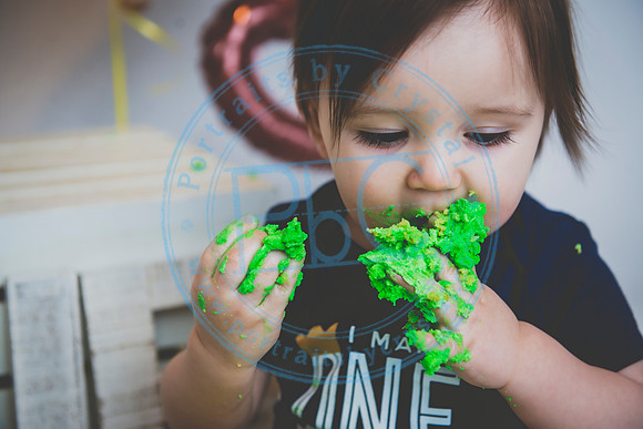 Alex - Smash Cake_031320_0301