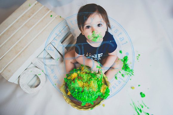 Alex - Smash Cake_031320_0315