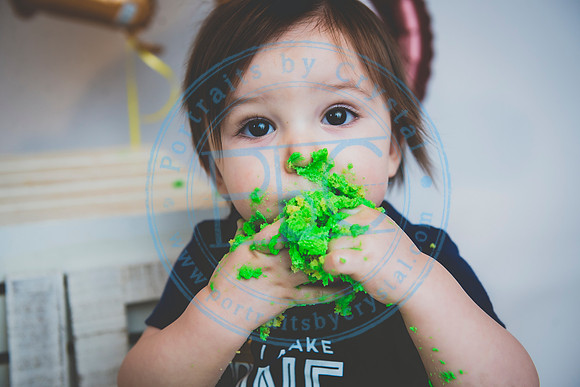 Alex - Smash Cake_031320_0330