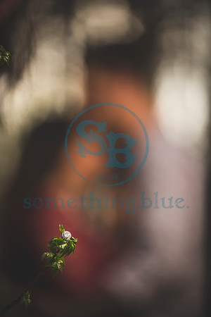 Melissa & Time - Engagement_032820_0719