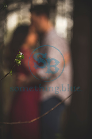 Melissa & Time - Engagement_032820_0725