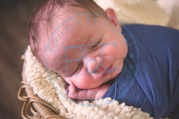 Jamison - Newborn_041920_0033